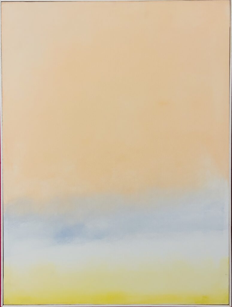 Valentino Vago - olio su tela 60x80cm anno 2017